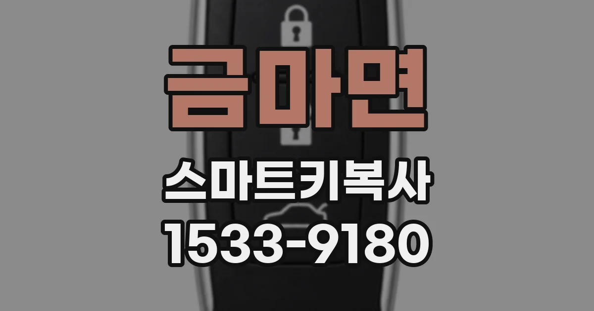 금마면 스마트키복사