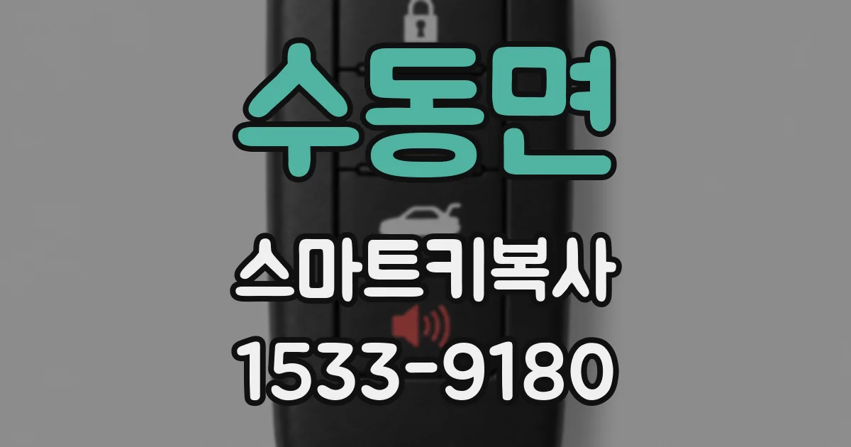 수동면 스마트키복사
