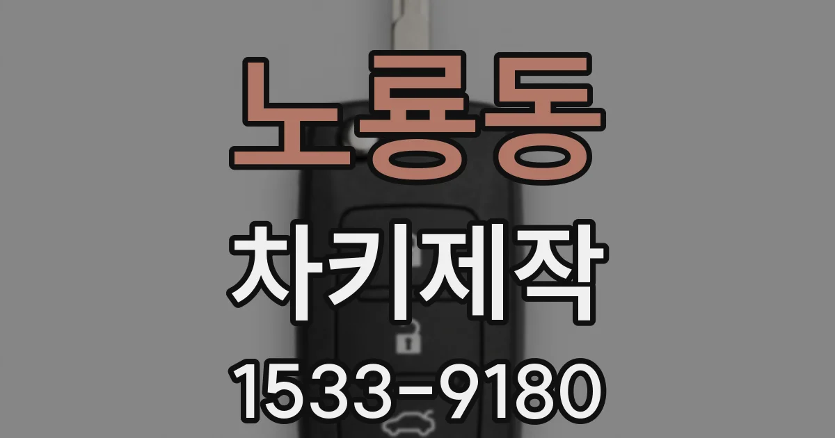 노룡동 차키제작