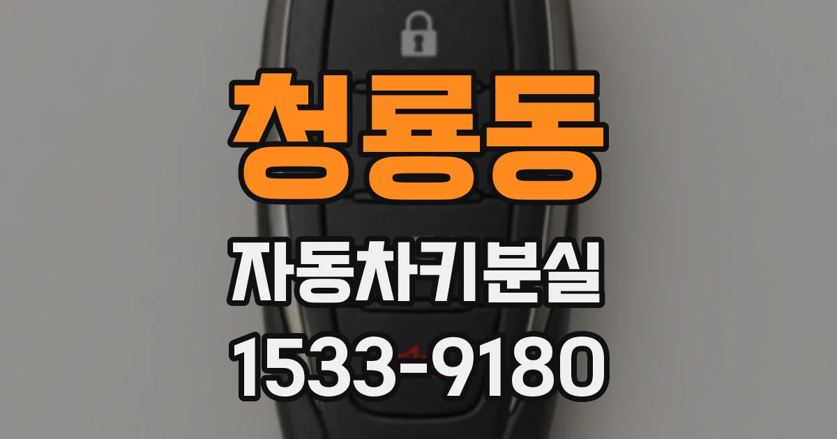 청룡동 자동차키분실