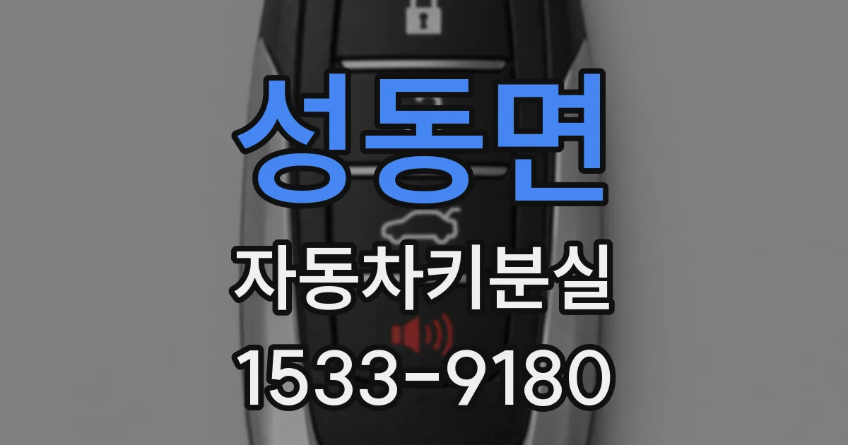 성동면 자동차키분실