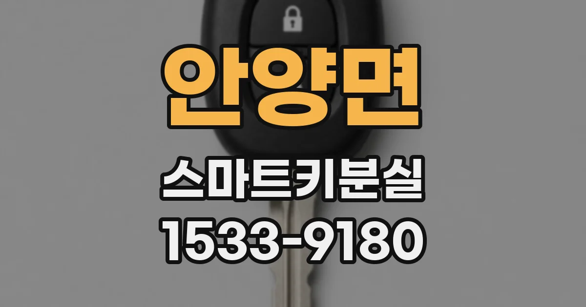 안양면 스마트키분실