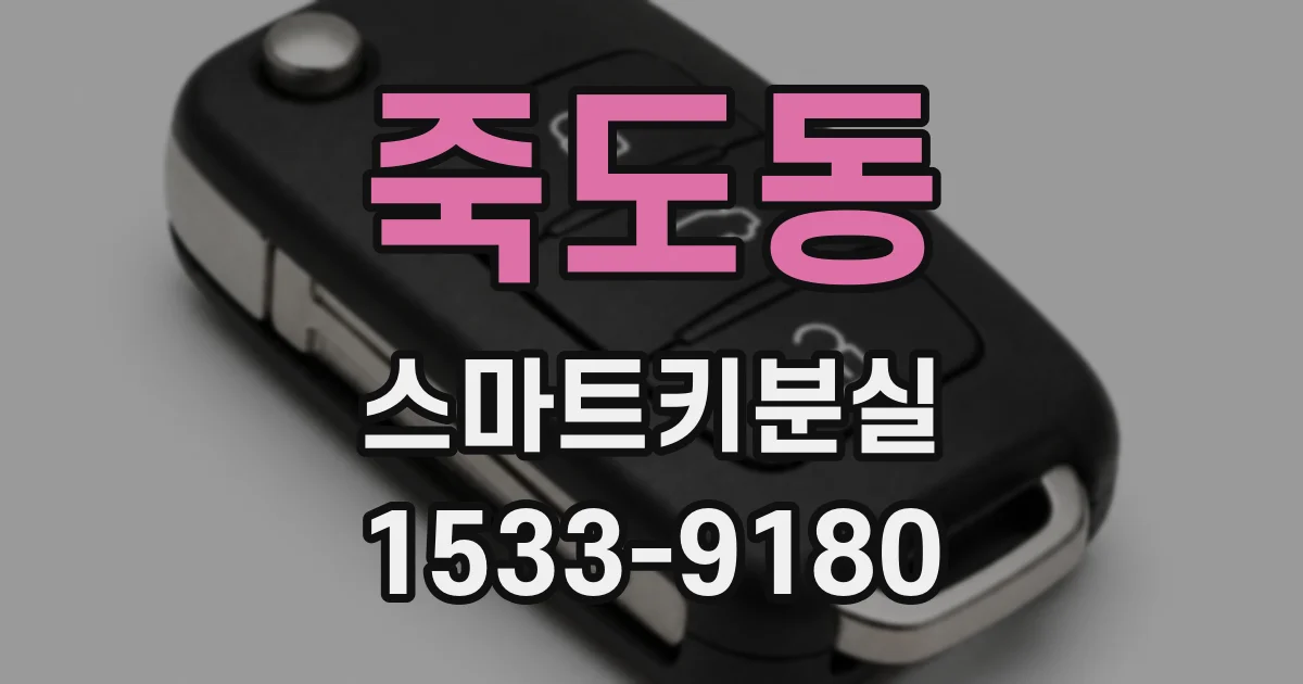 죽도동 스마트키분실