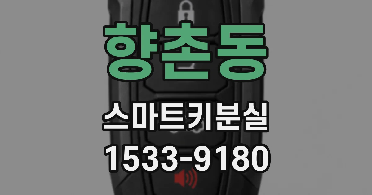 향촌동 스마트키분실