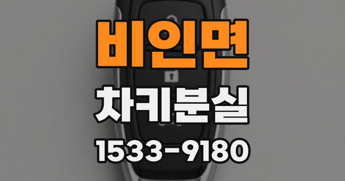비인면 차키분실