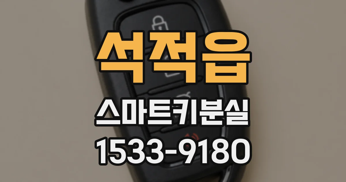 석적읍 스마트키분실