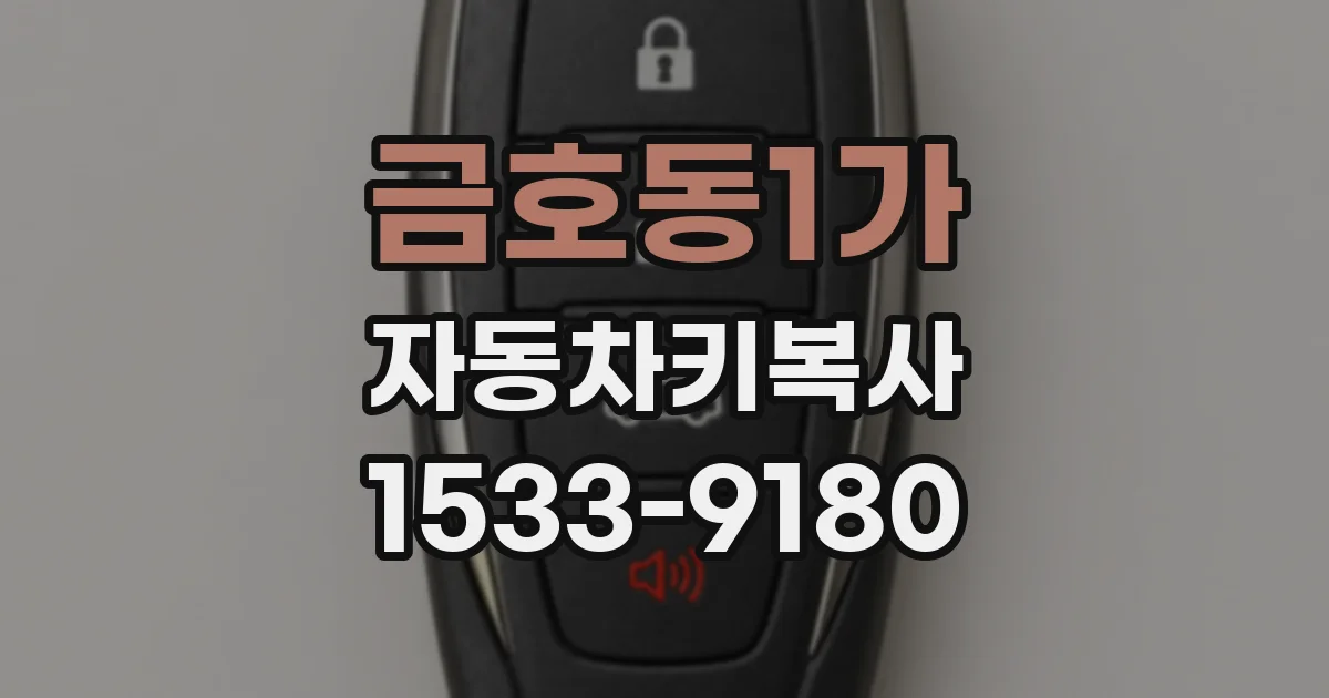 금호동1가 자동차키복사