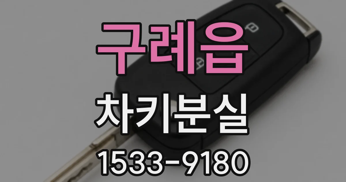 구례읍 차키분실