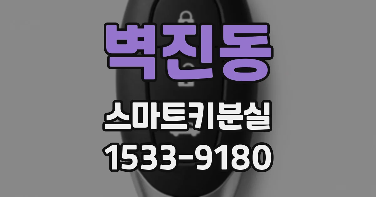 벽진동 스마트키분실