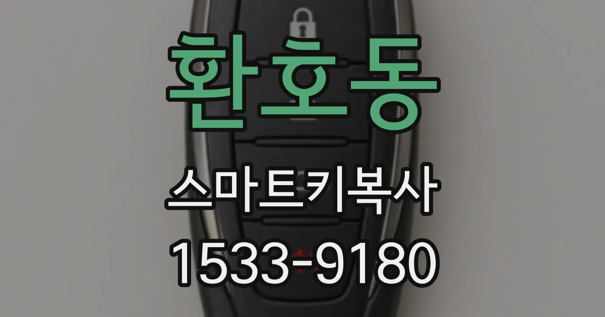 환호동 스마트키복사
