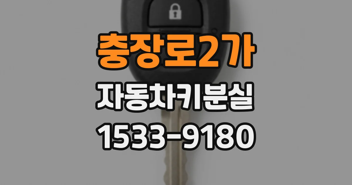 충장로2가 자동차키분실
