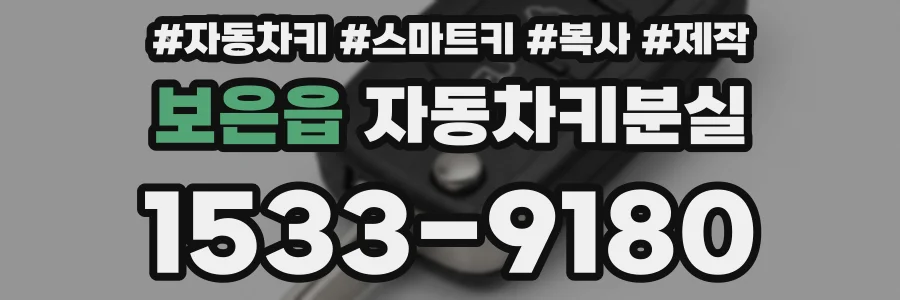 보은읍 자동차키분실