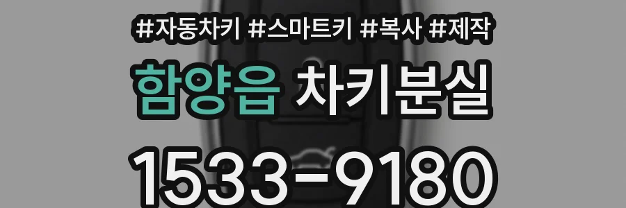 함양읍 차키분실