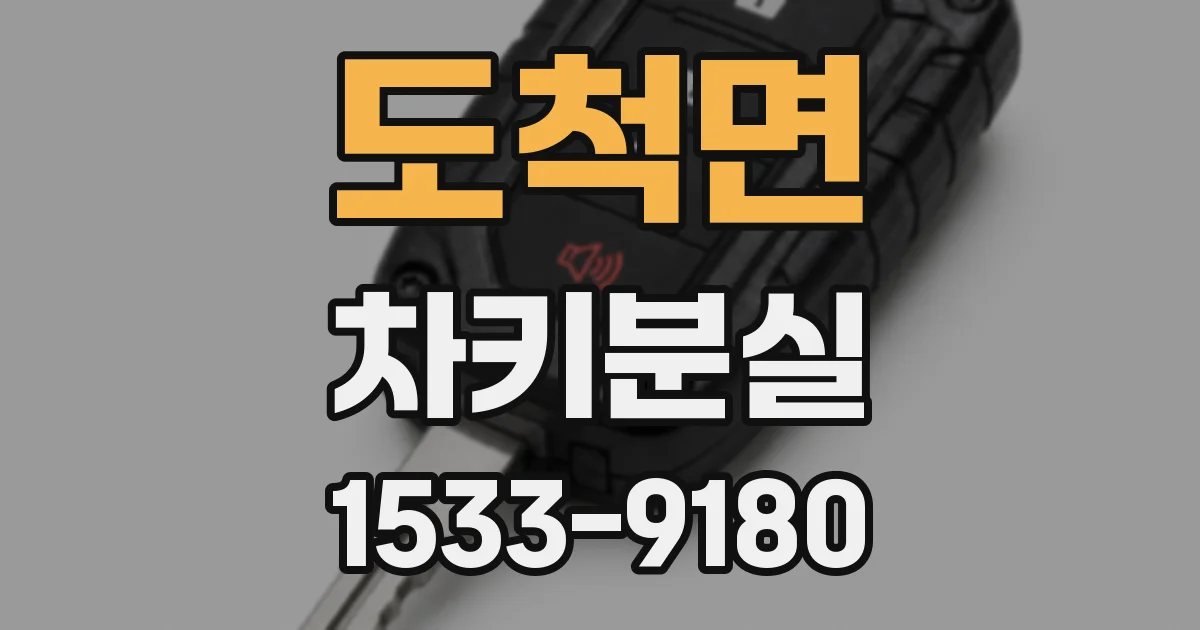 도척면 차키분실