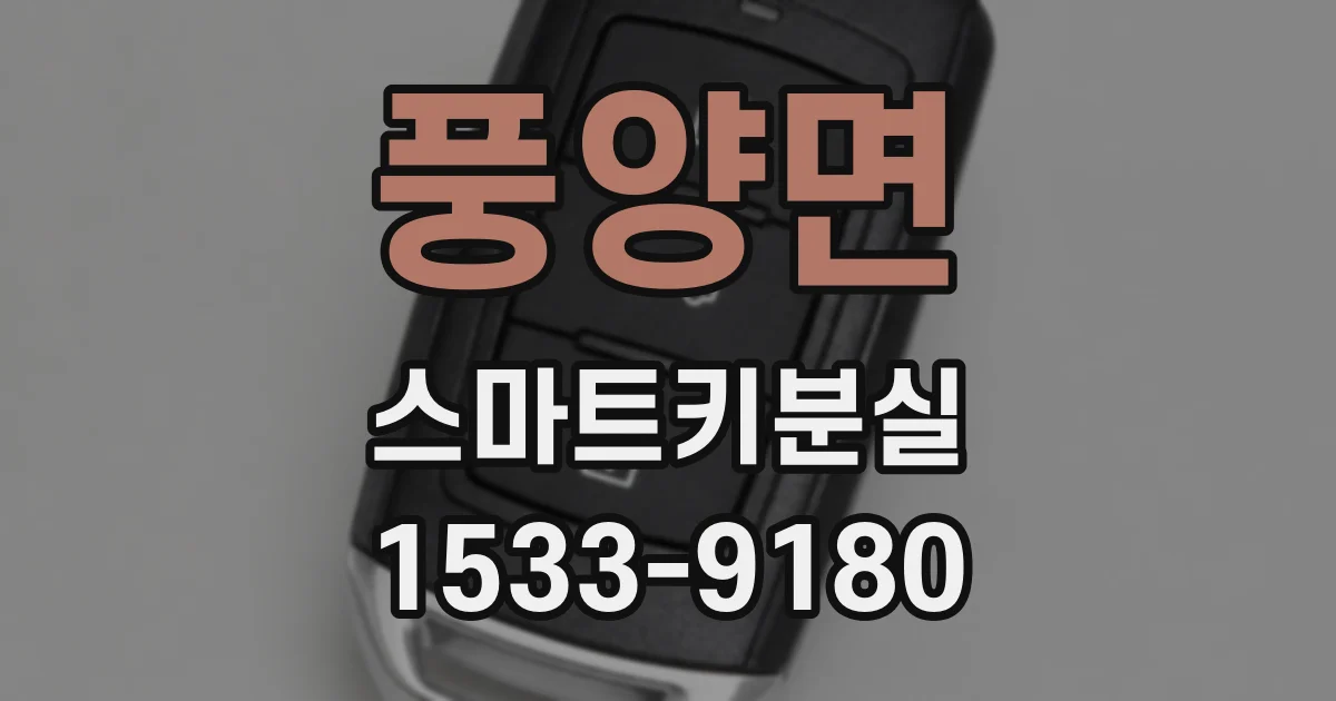 풍양면 스마트키분실