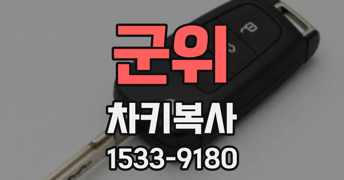 군위 차키복사