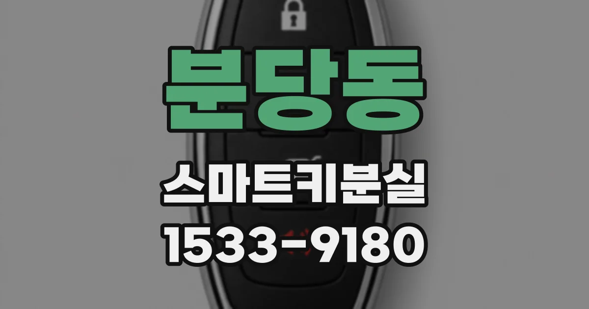 분당동 스마트키분실