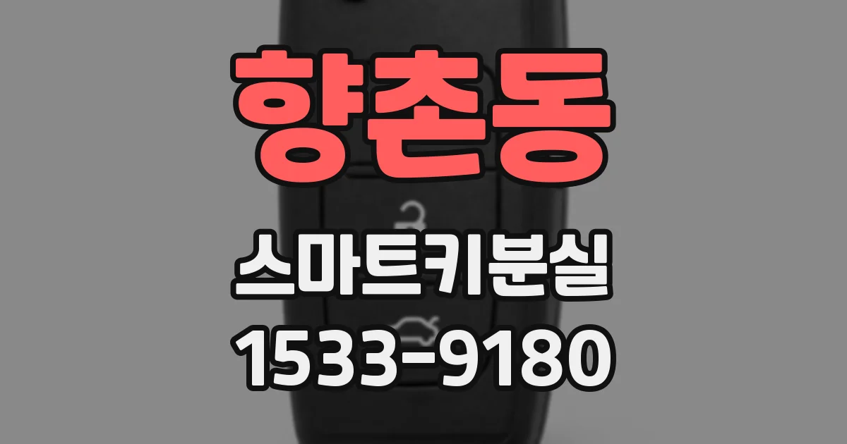 향촌동 스마트키분실