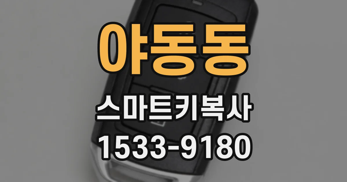 야동동 스마트키복사