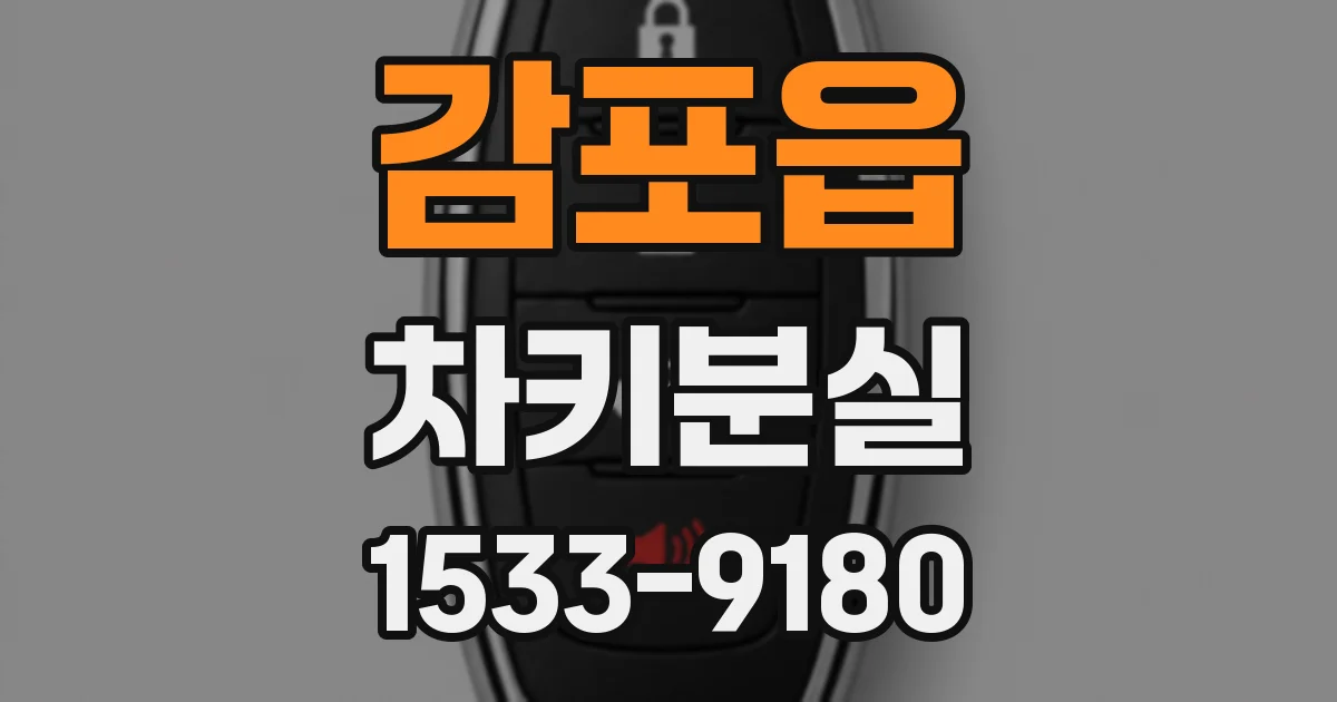 감포읍 차키분실