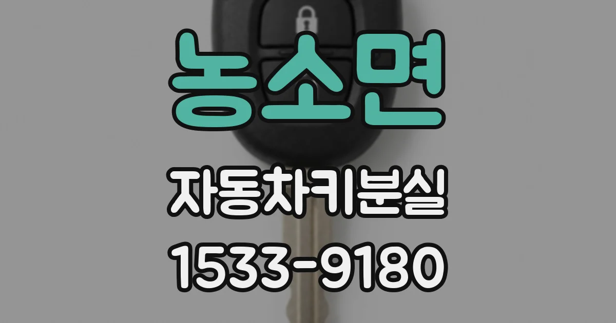 농소면 자동차키분실
