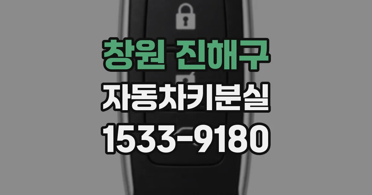 창원 진해구 자동차키분실