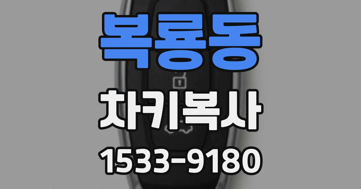복룡동 차키복사