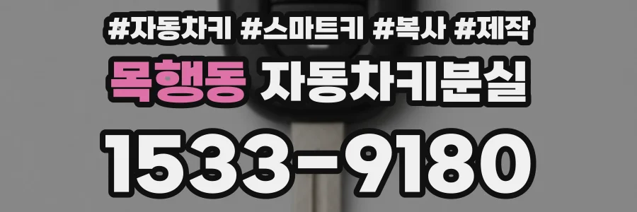 목행동 자동차키분실