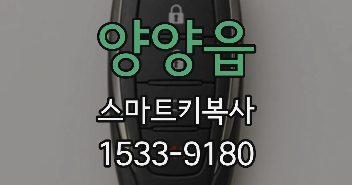 양양읍 스마트키복사