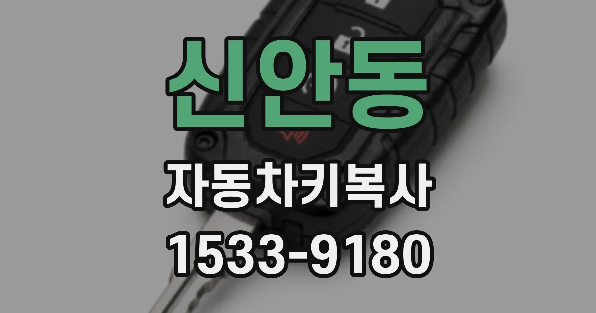 신안동 자동차키복사