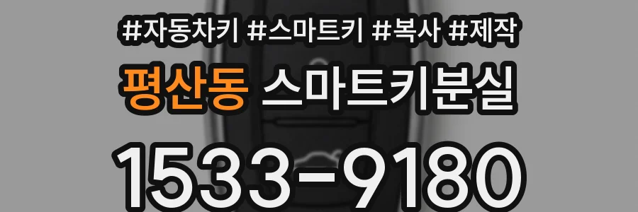 평산동 스마트키분실