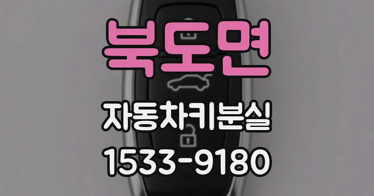 북도면 자동차키분실