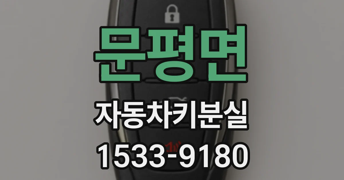 문평면 자동차키분실
