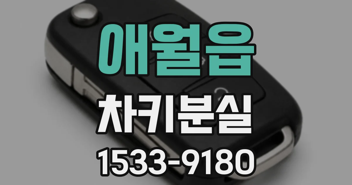 애월읍 차키분실