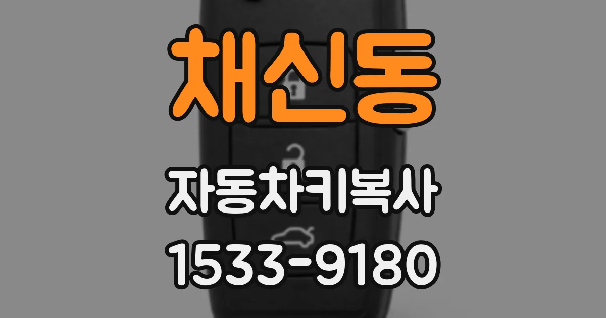 채신동 자동차키복사