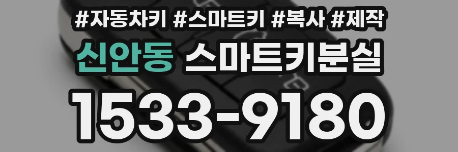 신안동 스마트키분실