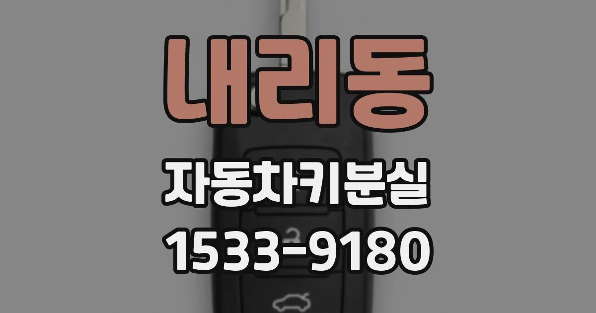 내리동 자동차키분실