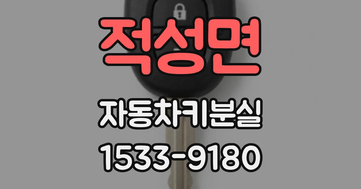 적성면 자동차키분실