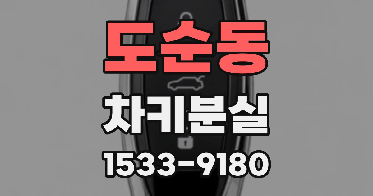 도순동 차키분실
