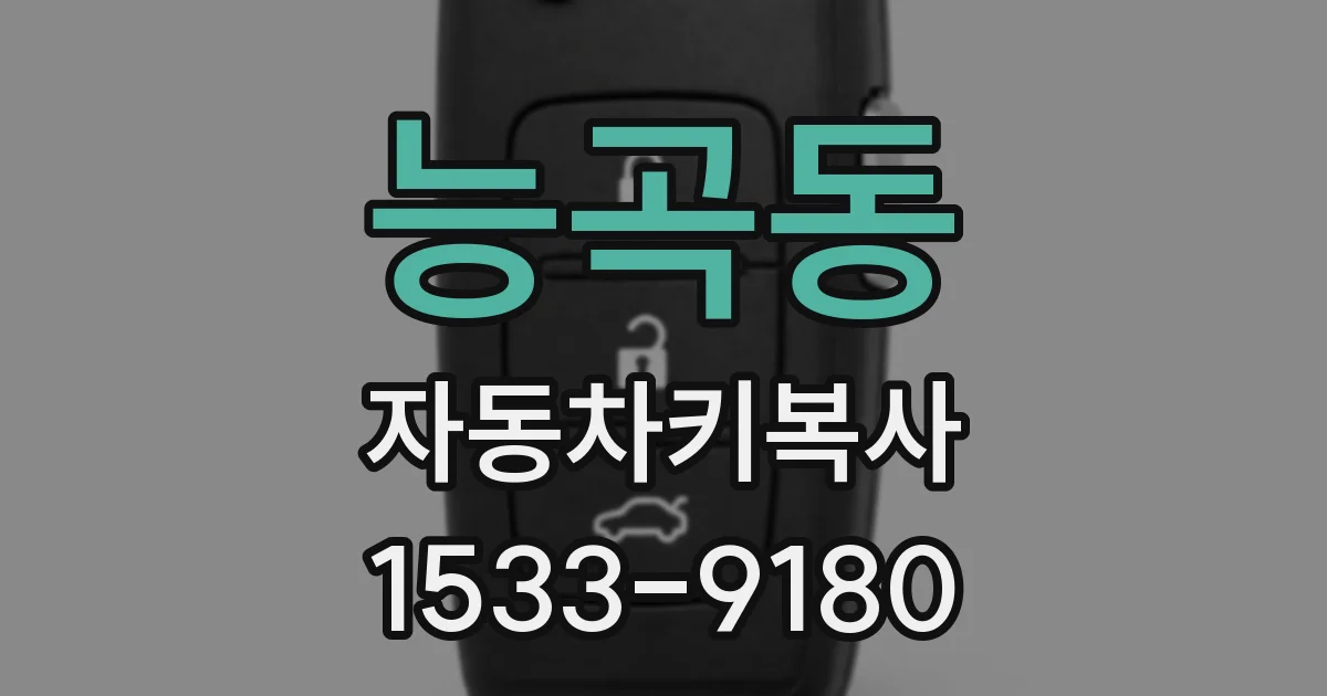 능곡동 자동차키복사