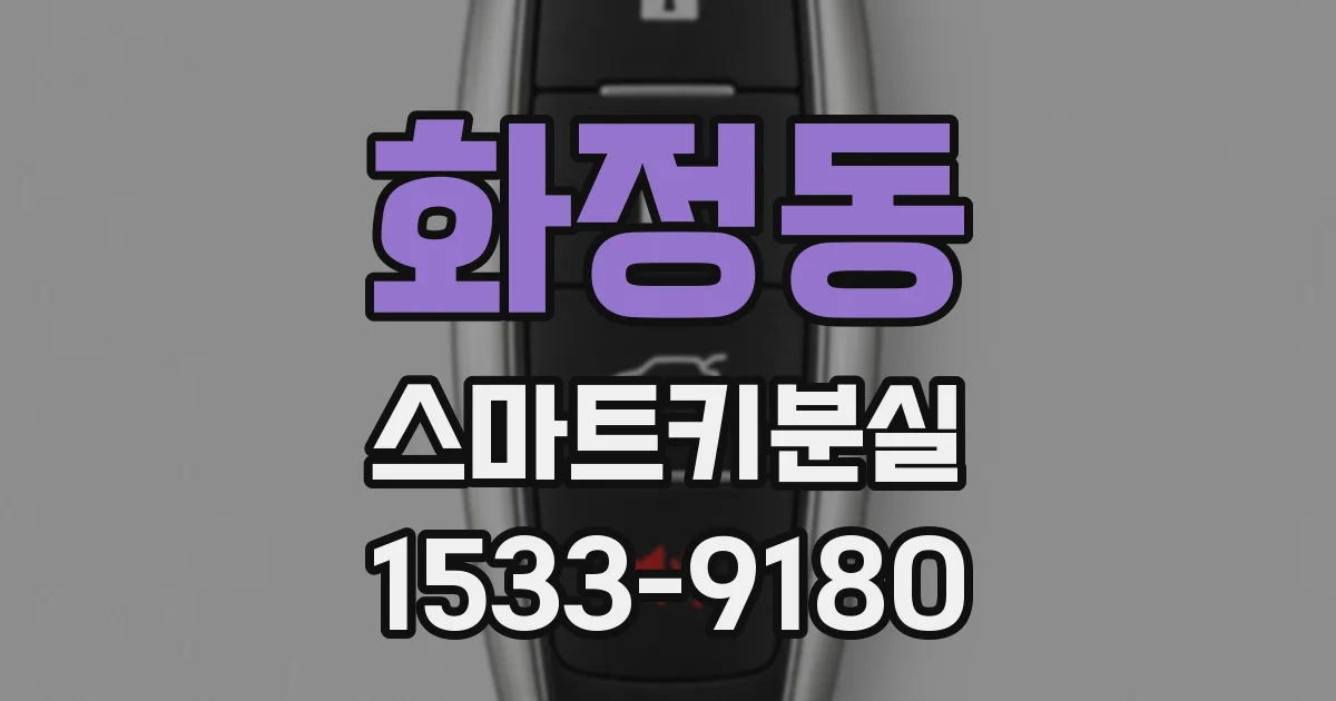 화정동 스마트키분실
