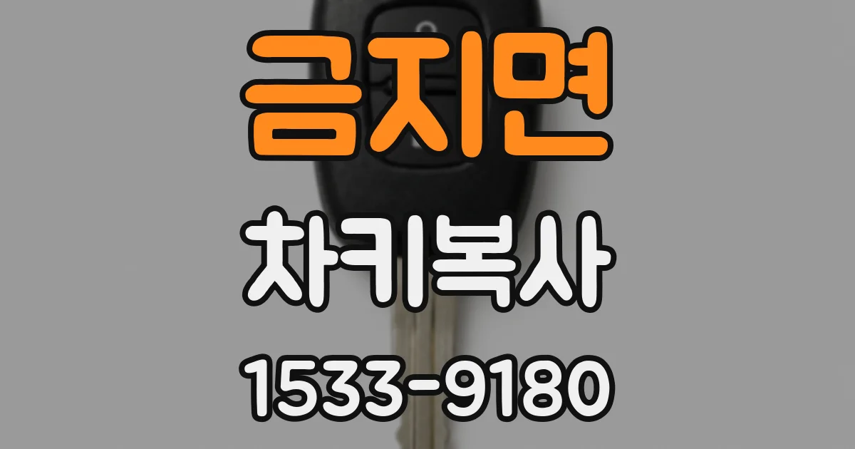 금지면 차키복사