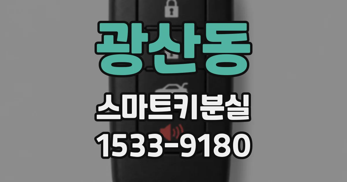 광산동 스마트키분실
