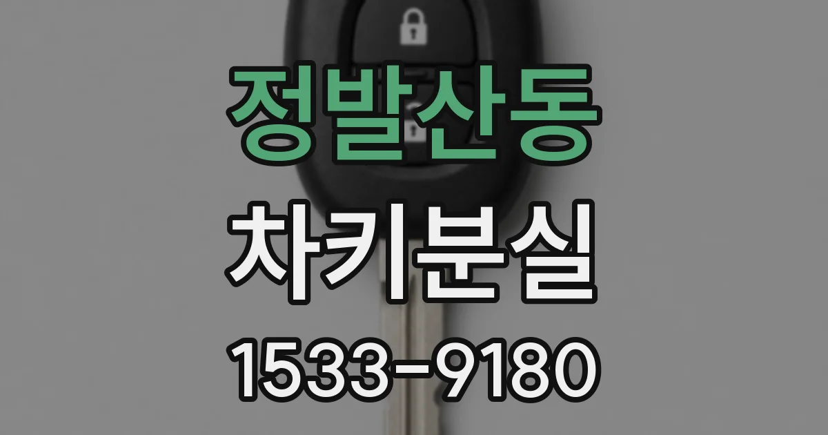 정발산동 차키분실