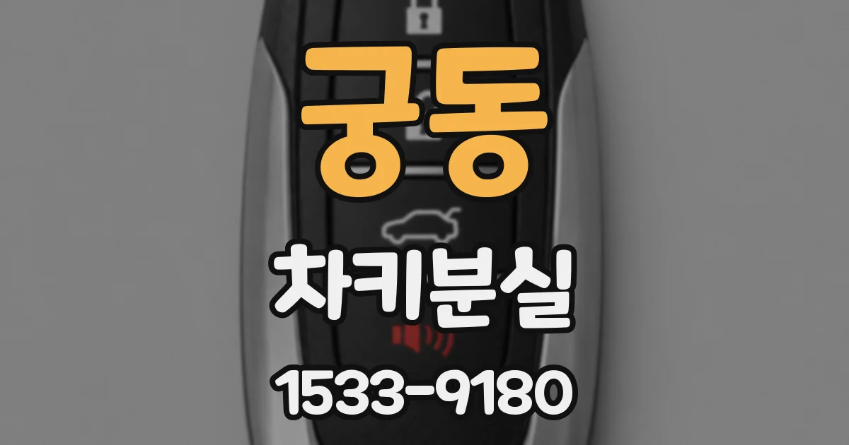 궁동 차키분실