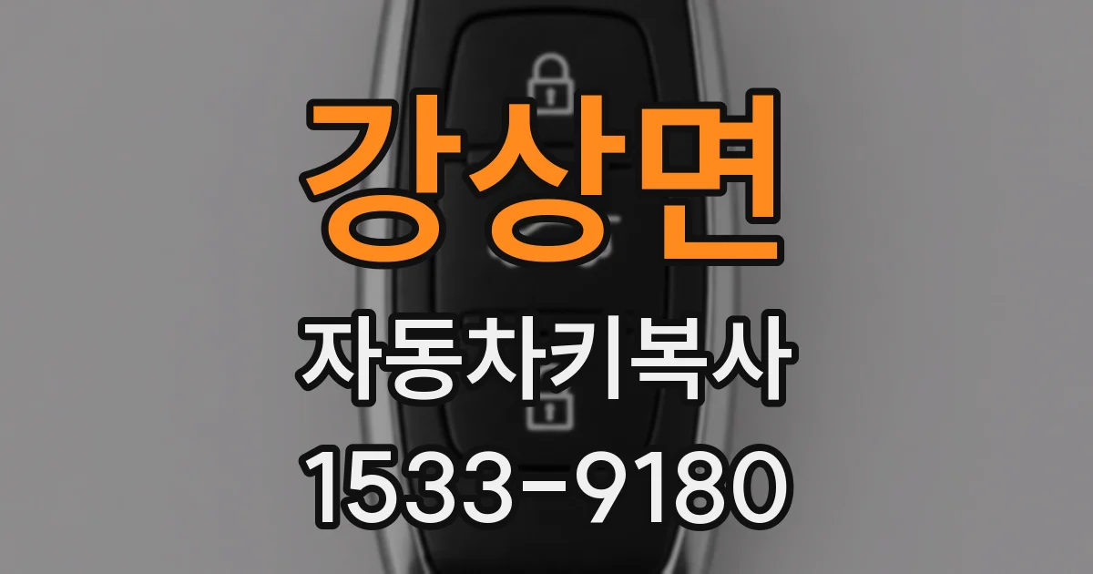 강상면 자동차키복사