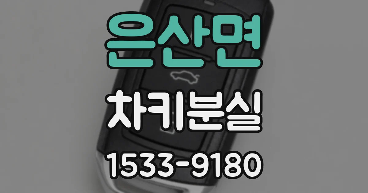은산면 차키분실