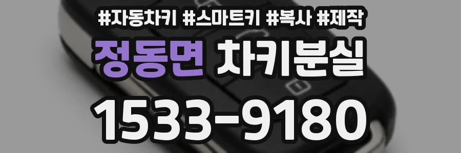 정동면 차키분실
