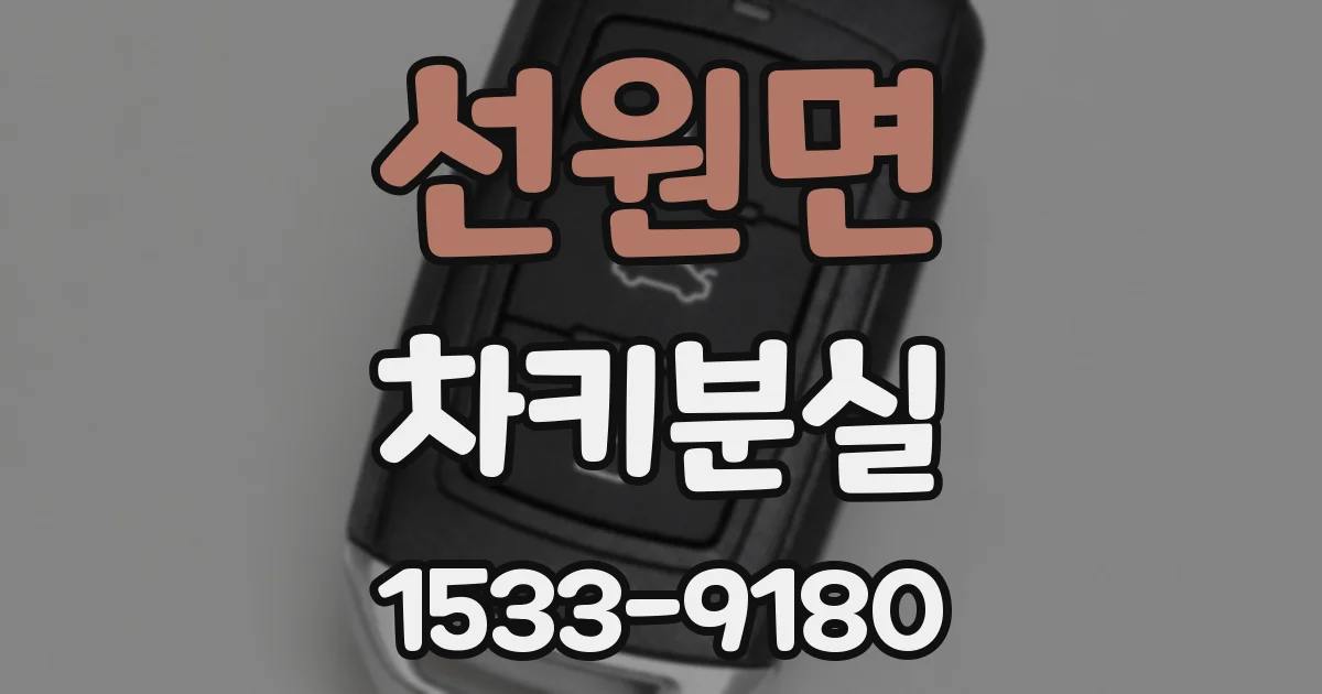 선원면 차키분실