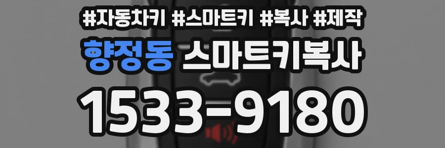 향정동 스마트키복사